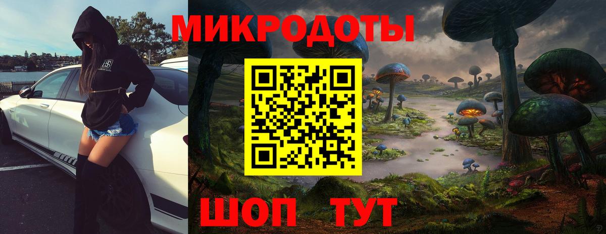 Галлюциногенные грибы мицелий  Вход с VPN  Галлюциногенные грибы Cubensis  цена наркотик  Новодвинск 